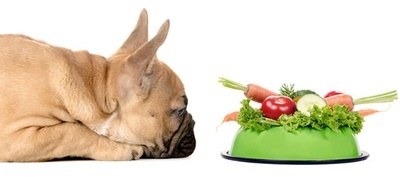 الخضروات هامة جدا لرفع مناعة الكلب و زيادة حيويته