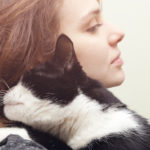 تساقط شعر القطط أحد أكبر المشاكل التي تواجه مربي القطط
