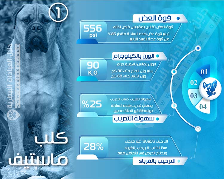 افضل 7 انواع كلاب الحراسة بالصور والفيديو شراسة قاتلة دليل العيادات البيطرية دكتور بيطري بين يديك