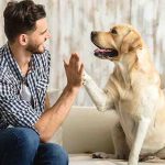 هل تشعر الكلاب بصاحبها 5 أشياء يستشعرها كلبك مبكرا !