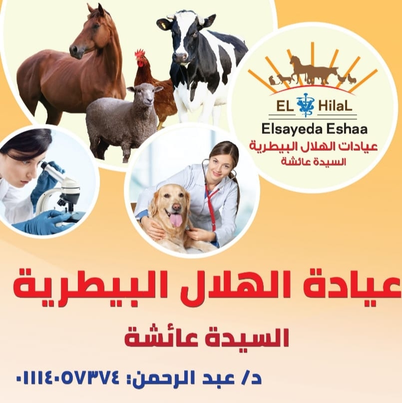 عيادة الحيوانات الاليفة