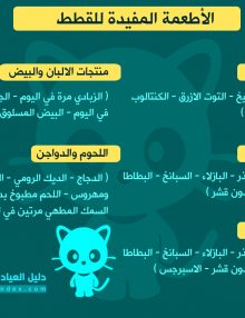 الأطعمة المفيدة للقطط