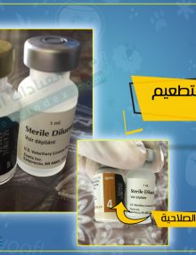 اسعار تطعيمات القطط الثلاثي و الرباعي 2020 في مصر