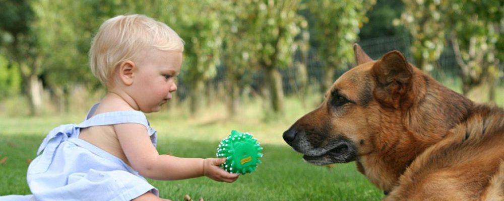 فوائد تربية الكلاب مع الأطفال