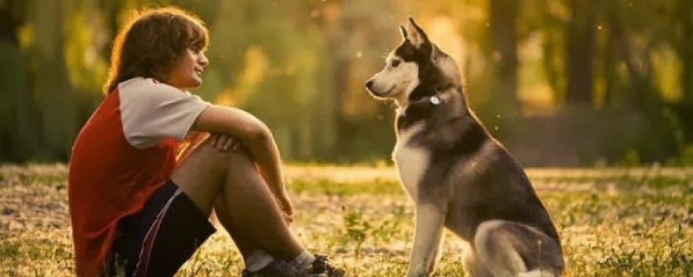 كيف اجعل كلبي يحبني ؟ 11 نصيحة هامة لمربي الكلاب