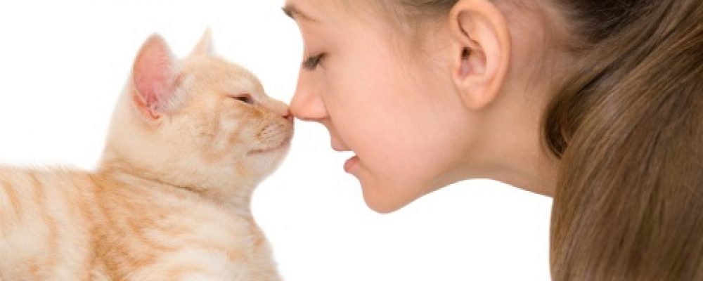 أضرار تقبيل القطط والكلاب والحيوانات الأليفة