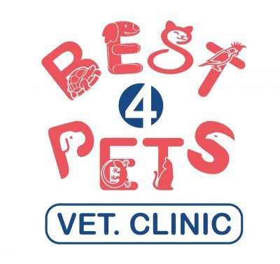 عيادة Best 4 pets البيطرية لعلاج الحيوانات الأليفة والطيور والزواحف