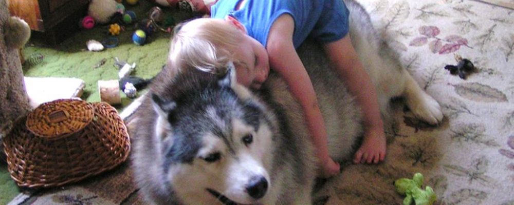 أضرار تربية الكلاب في المنزل مع الأطفال الصغار