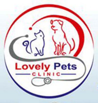 عيادة بيطرية lovely pets clinic، الحي الثامن، مدينة نصر