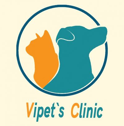 عيادة في أي بيتس البيطرية VIPets Clinic ، طيبة مول ، مدينة نصر