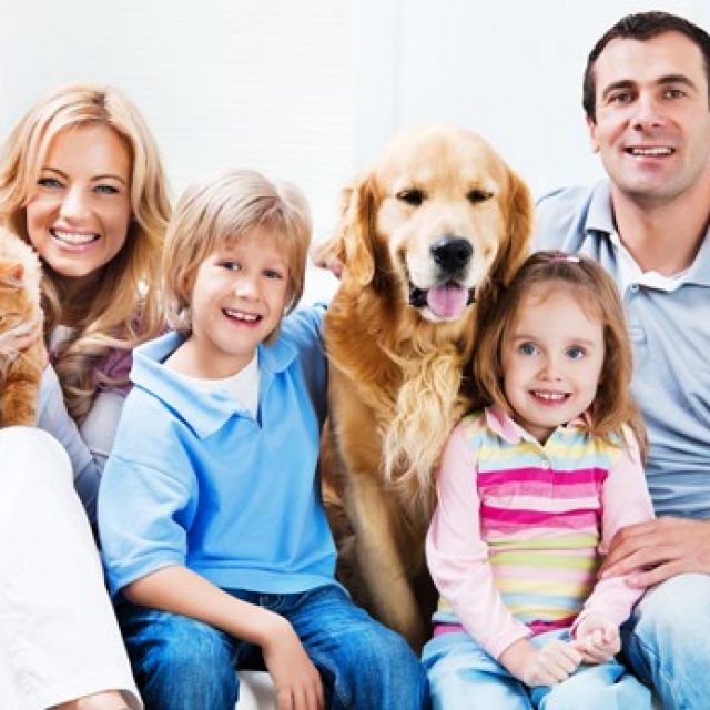 معلومات خاطئة عن صحة الكلاب والقطط