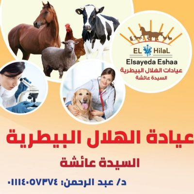 عيادات الهلال البيطرية بالسيدة عائشة