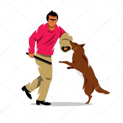 مدرسة تدريب الكلاب بالإسكندرية dog training in Alexandria