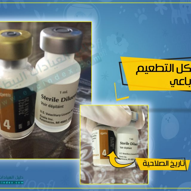 اسعار تطعيمات القطط الثلاثي و الرباعي 2020 في مصر