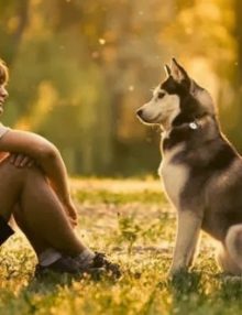 كيف اجعل كلبي يحبني ؟ 11 نصيحة هامة لمربي الكلاب