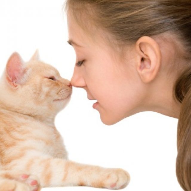 أضرار تقبيل القطط والكلاب والحيوانات الأليفة
