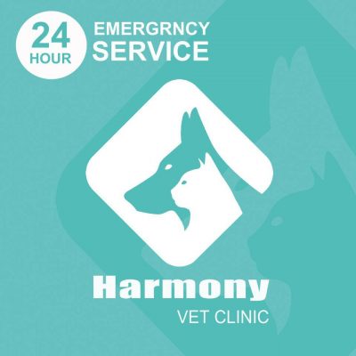 عيادة هارموني البيطرية، المعادي Harmony Vet Clinic